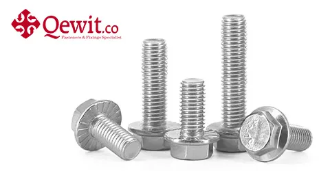 Fastener Hexagon Flange Head /Concrete/Hex Head/Cup Square Bolt for Building Industry/Machinery/Energy/Transportation